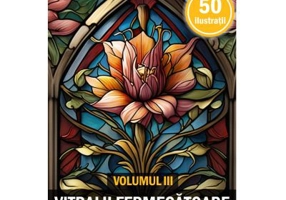 Carte de colorat pentru adulti, 50 de ilustratii, Vitralii Fermecatoare, Volumul 3
