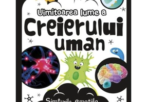 Uimitoarea lume a creierului uman - Dr. Liam Drew