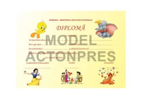 Diploma scolara GRADINITA (DLFD001A)