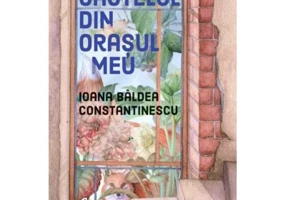 Castelul din orasul meu - Ioana Baldea Constantinescu