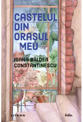 Castelul din orasul meu - Ioana Baldea Constantinescu