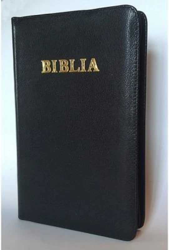 Biblia de studiu pentru copii. Coperta piele neagra, LPI145