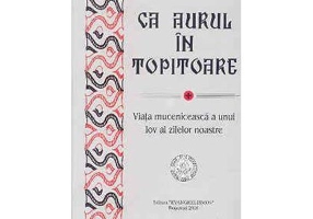 Ca aurul in topitoare. Viata muceniceasca a unui Iov al zilelor noastre - Anastasie Malamas