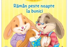 Lumea lui Dodo. Raman peste noapte la bunici - Adrienne Heymans