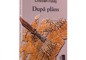 Dupa Plans - Cristi Fulas