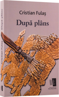 Dupa Plans - Cristi Fulas