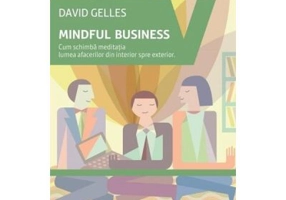 Mindful Business. Cum schimba meditatia lumea afacerilor din interior spre exterior - David Gelles