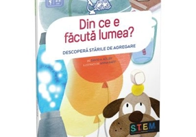 Din ce e facuta lumea? Descopera starile de agregare - David A. Adler