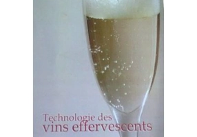 Technologie des vins effervescentes