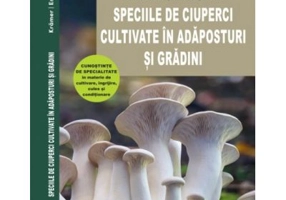 Speciile de ciuperci cultivate in adaposturi si gradini
