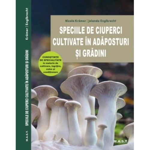 Speciile de ciuperci cultivate in adaposturi si gradini