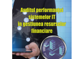 Auditul performantei sistemelor IT in gestiunea resurselor financiare - Liviu N. Stefan