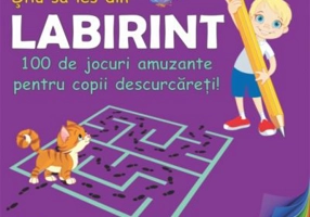 Stiu sa ies din labirint. 100 de jocuri amuzante pentru copii descurcareti! - Diana Rotaru