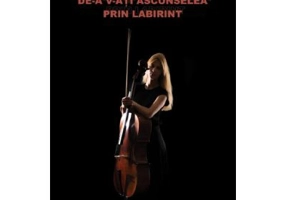 De-a v-ati ascunselea prin labirint