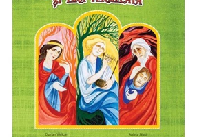 David cel viteaz si lira fermecata - Ciprian Vidican