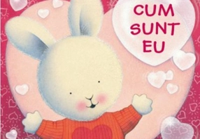 Ce-mi place cel mai mult la CUM SUNT EU