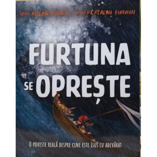 Furtuna se opreste. Seria Povesti care spun adevarul - Alison Mitchell