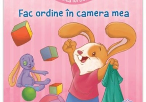 Lumea lui Dodo. Fac ordine in camera mea - Cecile Marbehant