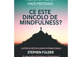 Ce este dincolo de Mindfulness? - Stephen Fulder