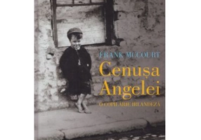 Cenusa Angelei. O copilarie irlandeza