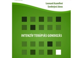 Ingrijire terapeutica intensiva. In limba maghiara - Leonard Azamfirei