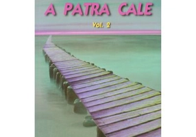 A patra cale Volumul 2 - Uspensky P. D