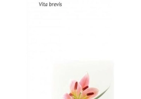 Vita brevis - Jostein Gaarder