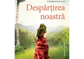 Despartirea noastra