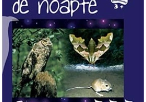 Animalele de noapte