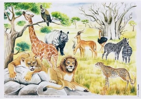 Vietuitoare si mediul lor de viata. Set planse