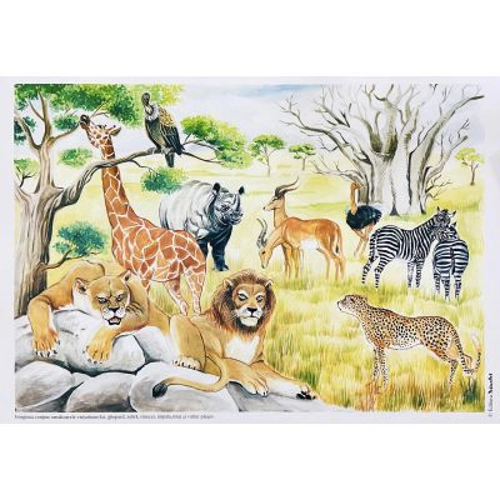 Vietuitoare si mediul lor de viata. Set planse