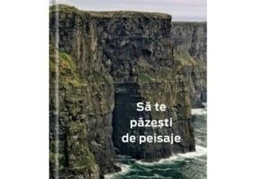 Sa te pazesti de peisaje - Corinne Desarzens