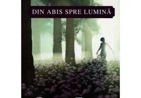 Din abis spre lumina - Chris Fabry