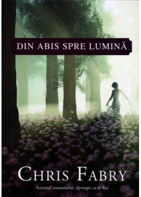 Din abis spre lumina - Chris Fabry