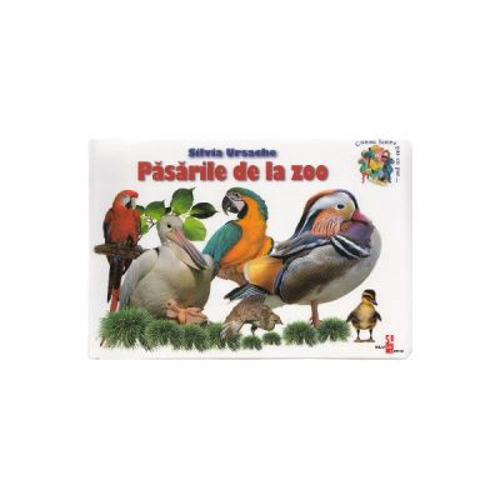 Pasarile de la zoo