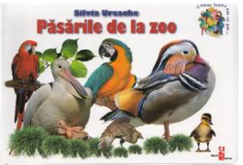 Pasarile de la zoo