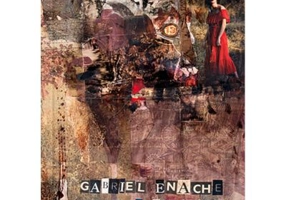 Starea de fapt - Gabriel Enache