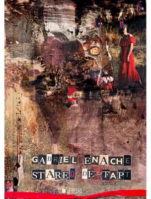 Starea de fapt - Gabriel Enache