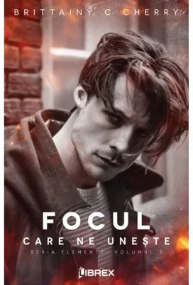 Focul care ne uneste - Brittainy C. Cherry