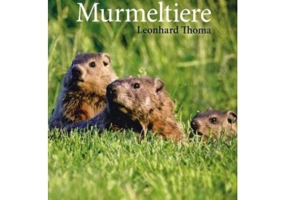 Murmeltiere Buch - Leonhard Thoma