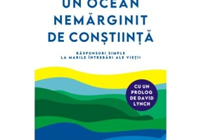 Un ocean nemarginit de Constiinta. Raspunsuri simple la marile intrebari ale vietii - Dr. Tony Nader
