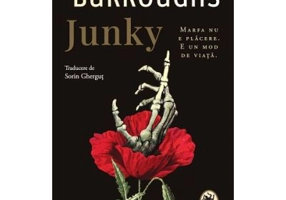 Junky - William S. Burroughs