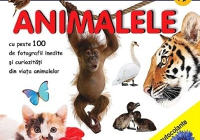 Lipesti si inveti animalele - Diana Rotaru