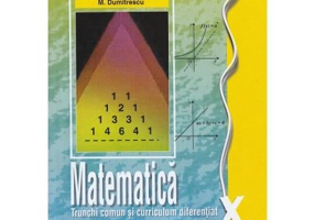 Manual matematica clasa a 10-a trunchi comun si curriculum diferentiat - Constantin Nastasescu