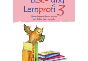 Lese- und Lernprofi 3 Schulerarbeitsheft silbierte Ausgabe Leseheft - Christa Koppensteiner