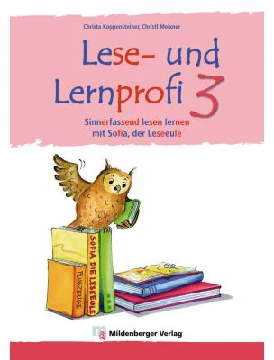 Lese- und Lernprofi 3 Schulerarbeitsheft silbierte Ausgabe Leseheft - Christa Koppensteiner