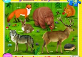 Puzzle Animale salbatice