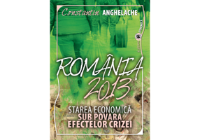 Romania 2013: starea economica sub povara efectelor crizei - Constantin Anghelache