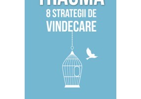 Trauma. 8 strategii de vindecare - Babette Rothschild