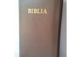 Biblia de studiu pentru copii. Coperta piele maro deschis, LPI153
